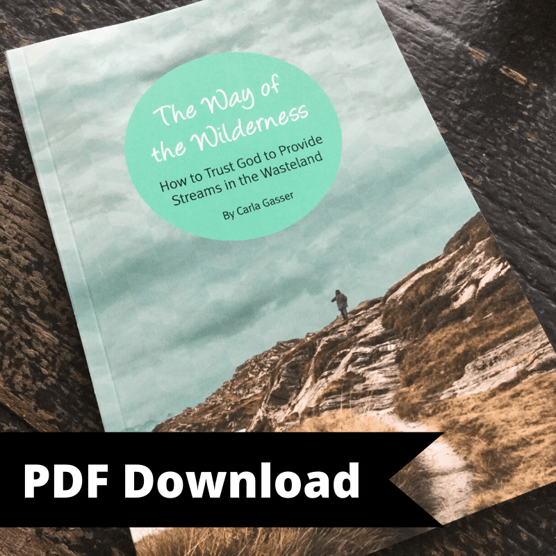 (PDF Download) The Way of the Wilderness Devotional Carla Gasser