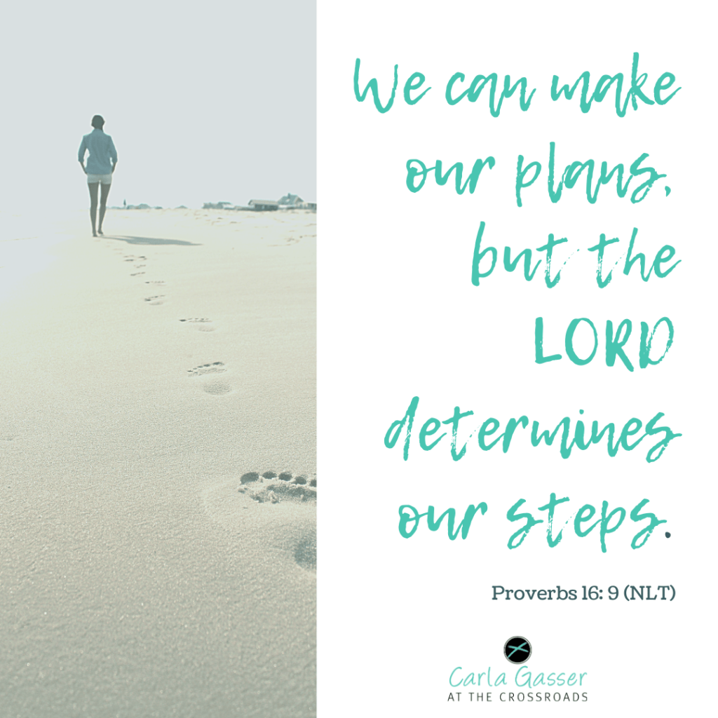 we-can-make-our-plans-but-the-LORD-determines-our-steps