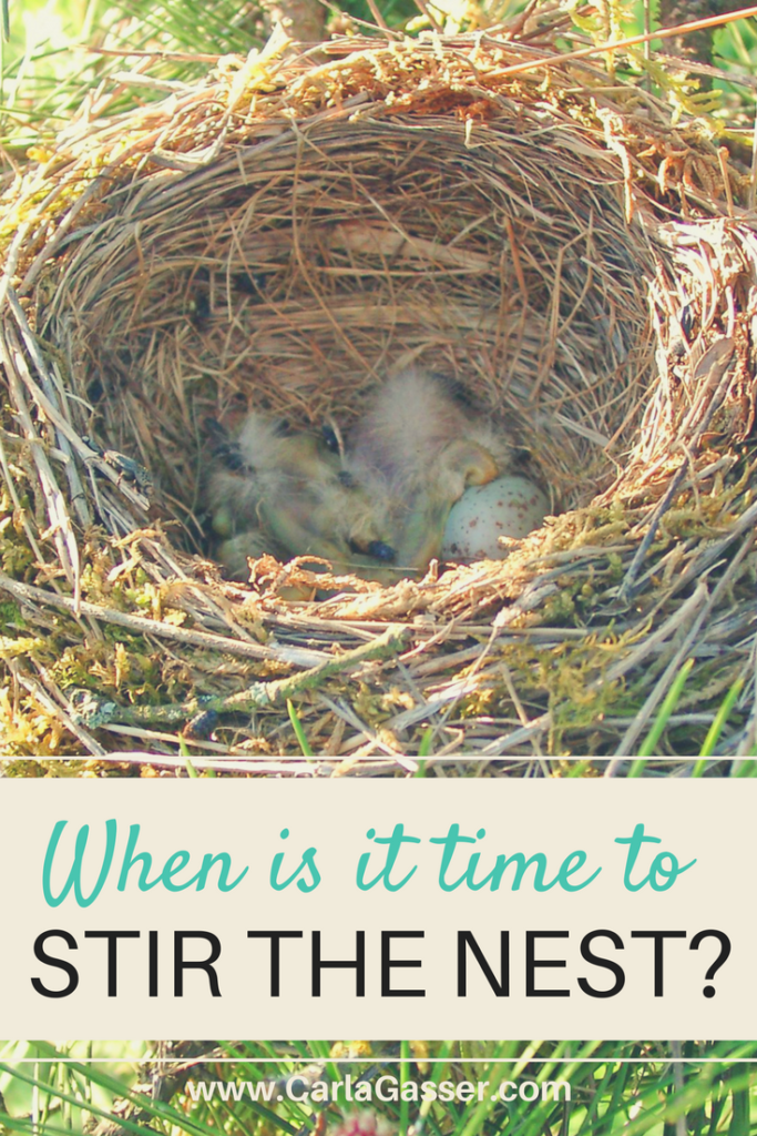 when-is-it-time-to-stir-the-nest