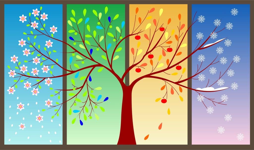 YOUR COMPLETE GUIDE TO CHANGING SEASONS OF LIFE - Carla Gasser - 1024 x 604 jpeg 108kB