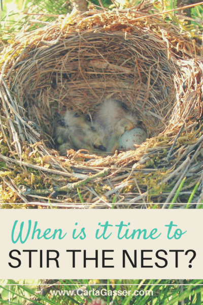 When is it time to stir the nest?
