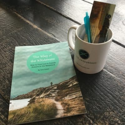 THE WAY OF THE WILDERNESS DEVOTIONAL NOW AVAILABLE!