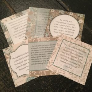 Wilderness Wisdom Cards