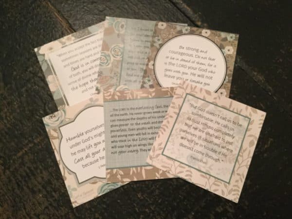 Wilderness Wisdom Cards